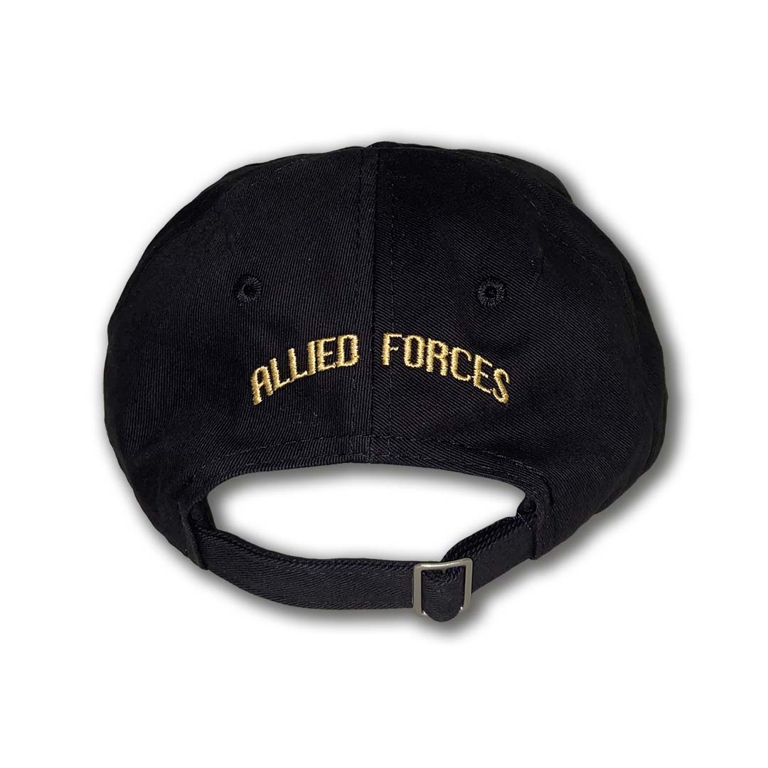 Triumph-Allied-Forces-BACK.jpg