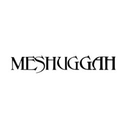 Meshuggah